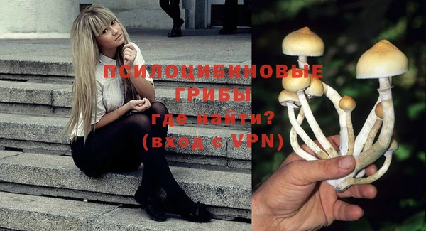 герыч Пересвет