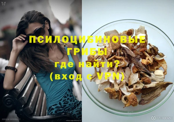 герыч Пересвет