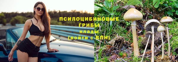 прущая мука Переславль-Залесский